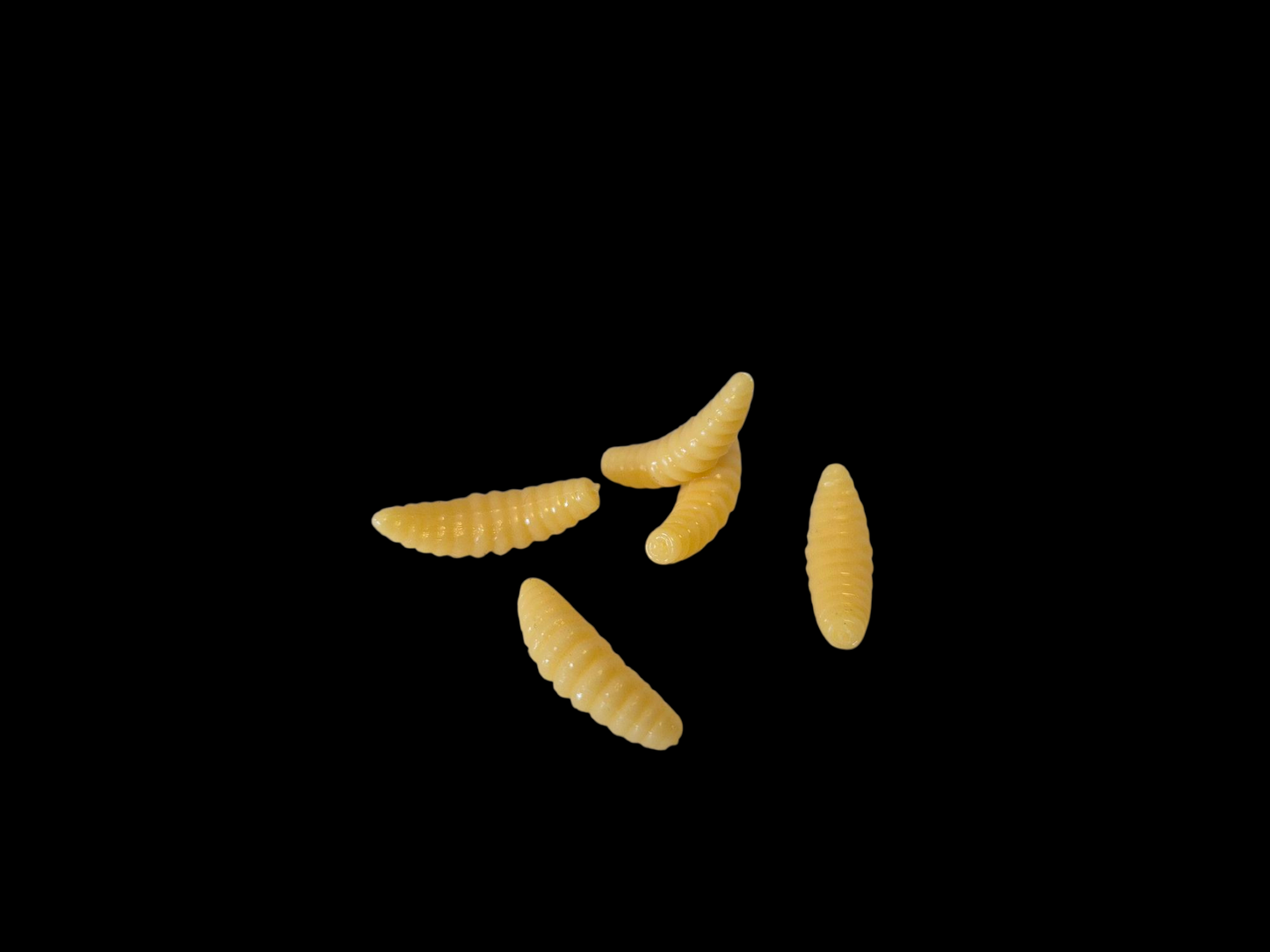 FAKE WORMS